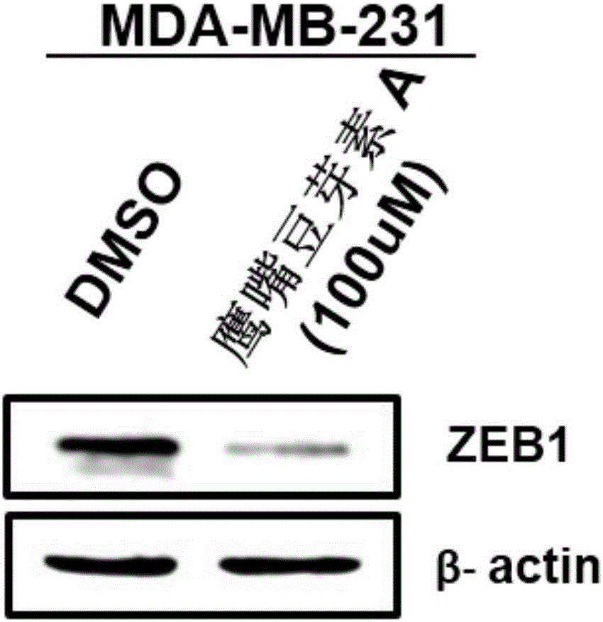 澳门新葡官网进入网站8883